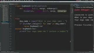 Custom Exceptions in Python by CodingXpertz
