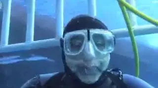 El Gran Tiburón Blanco de Isla Guadalupe 2-7