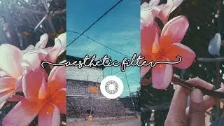 Aesthetic Filter VSCO || edit foto ala selebgram | edit foto ala typogram