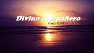 DIVINO COMPAÑERO LLDM