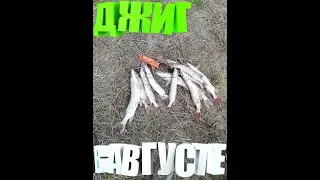 Рыбалка на Иртыше в августе