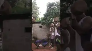 Chefo dans casa mafia..