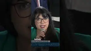 María Eugenia Duré en el Senado de la Nación sobre la Ley Bases