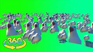 🦢 Screaming Seagull ✖ 10000 🦢