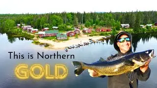 Northern Quebec Walleyes at a Private Island Lodge