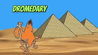 Animals in Dexter's Laboratory (Changes)
