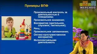 Малюкова Произвольность