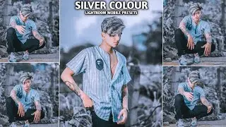 Lightroom Mobile Silver Presets | Lightroom Presets | Preset 2022
