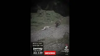 #drivingfails
