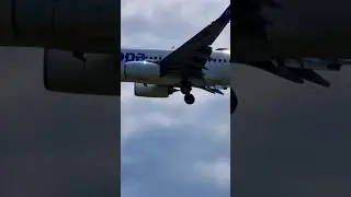 Air Europa Boeing 737-800 NG pouso ✈️ #airport #lisboa #shorts