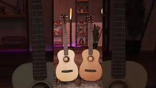 Travel Acoustic Guitars By Furch | Innovation Redefined