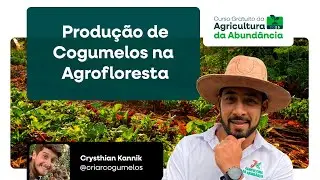 Produção de cogumelos na Agrofloresta- Como diversificar as fontes de renda - Live de Aquecimento