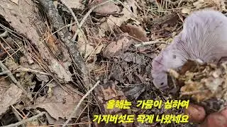 2024년 10월 25일