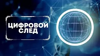 Цифровой след | Отказ в иммиграции