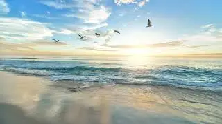 Arzi - Come To Life (Original Mix)