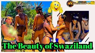 The Beauty of Swaziland #trendingshorts #afrogoddess #africantraditions #culture