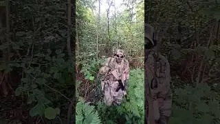 В поисках гномов