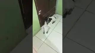 WALA SA MOOD 