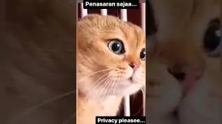 те самые твои любопытные соседи которые хотят знать о тебе всё 😅