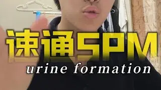 速通spm biology form 4 chapter 13 urine formation 