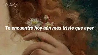 Los Ilegales - Princesa Equivocada [𝐋𝐞𝐭𝐫𝐚]