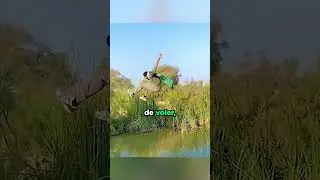 Il a Fait Le Plus Grand Saut Du Monde !😱