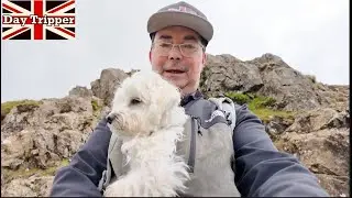Hiking to The Summit of Pike of Sickle with My Maltese Dog and Sid, Langdale Pikes, Lake District
