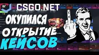 ОТКРЫТИЕ КЕЙСОВ my-csgo.net |проверка AWP| The luck3r|#3