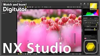 NX Studio #3 Image Adjustment Using Color Control Points | Nikon Digitutor