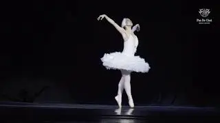 Сен-Санс. Лебедь