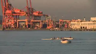 Rough Cuts: Coal Harbor and the Seal