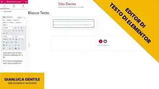Editor di Testo Elementor