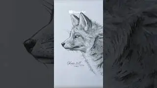 Cómo dibujar un Zorro 🦊 #shorts #art #dibujo