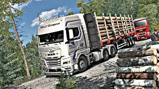 Transporting logs through forest of Germany - Euro Truck Simulator 1.50 #ets2