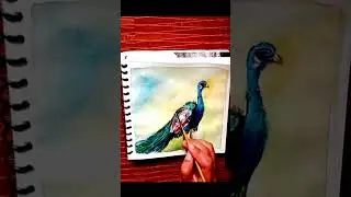 peacock drawing shorts #viral #youtubeshorts #viralshorts  #ytshorts