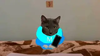 Смотрю смешные короткие видео от автора Котинет
