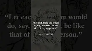 The Greatest Marcus Aurelius Quotes 