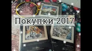 Покупки 2017//Дим//ДМС//Пяльца....