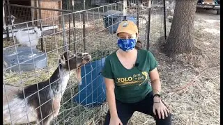 Let's Go Visit a Farm!