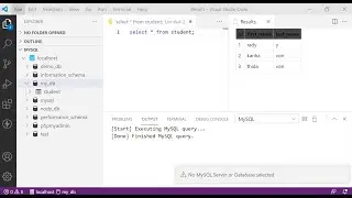 Write SQL Query in VScode 2021