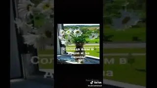 Всем доброе утро и песня кота Леопольда.