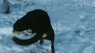 ЗИМНЯЯ ЗИМА