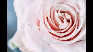 Женственность и женская сила. Медитация