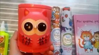 Фикс прайс! Супер покупки! Коллекция канцелярии с совами. Собрали всё!!!