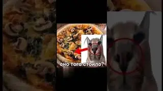 Бедный шлёпа😭
