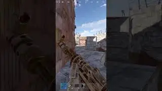 CHINESE Sachelki in the game grow