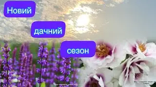 Придбала рослини.Що нового??//Продовжую висаджувати//Мрії надихають