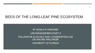 Alachua Audubon program: Bees of the Long-Leaf Pine Ecosystem