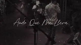 Los Titanes De Durango - Ando Que Me Lleva (Video Lyric)