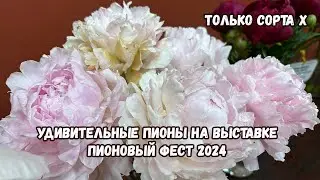 Amazing Peony Varieties. Review of Peony Fest 2024 Varieties. Part 10